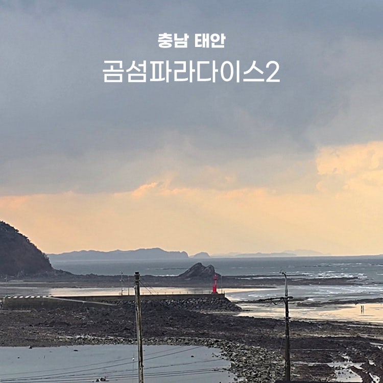 곰섬파라다이스2 이미지