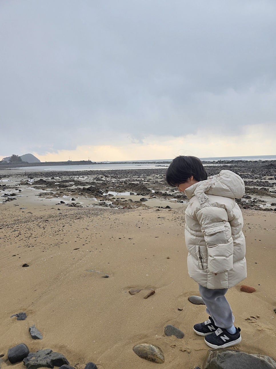 곰섬파라다이스2 이미지