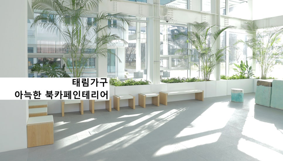 태림컨설팅 이미지