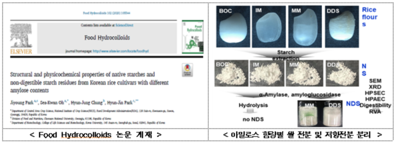 도담특허정보 이미지