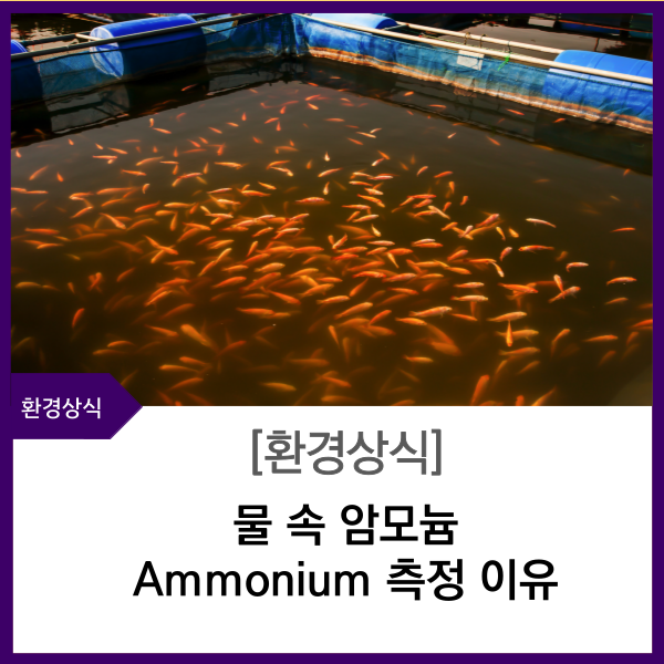 에닌주식회사 이미지