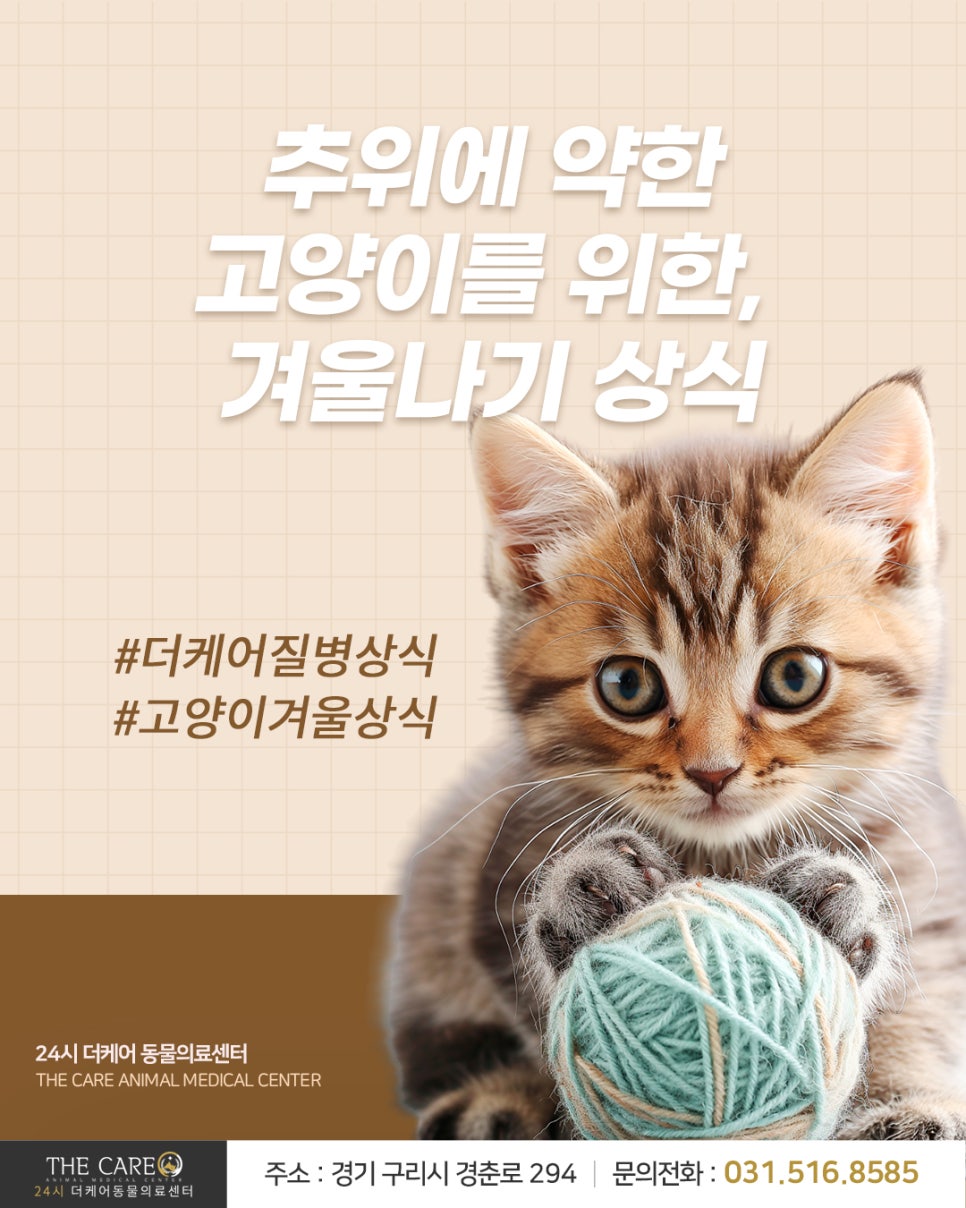 장판24시 이미지