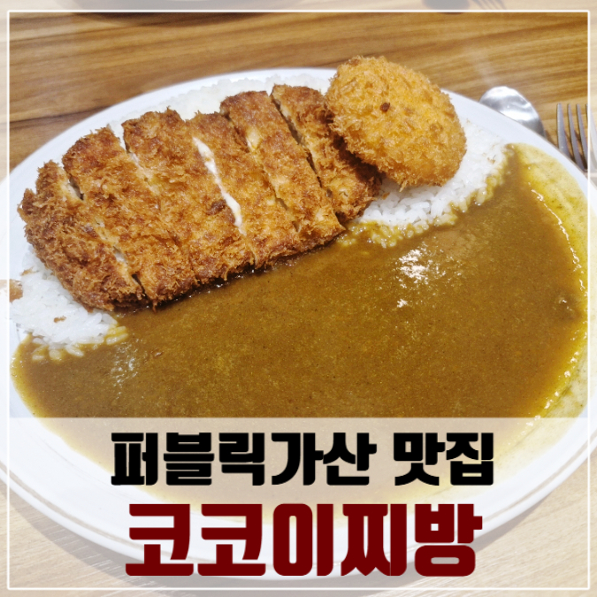 퍼블릭코코 이미지