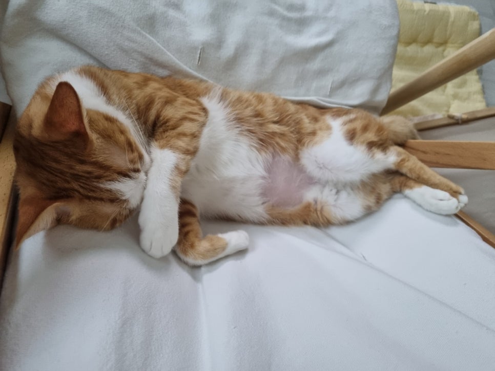 김마루 이미지