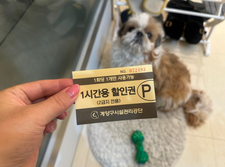 벨뷰티 이미지