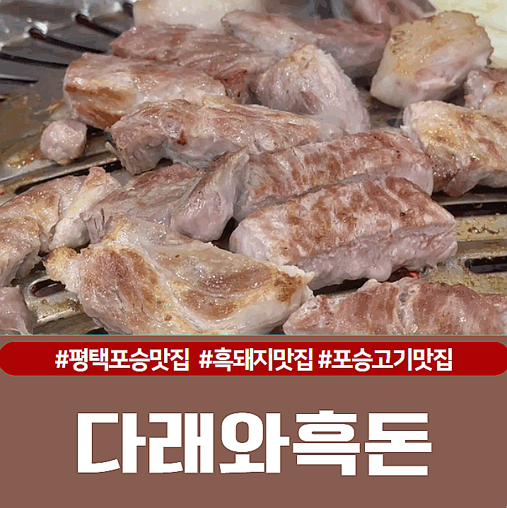 다래와흑돈 이미지