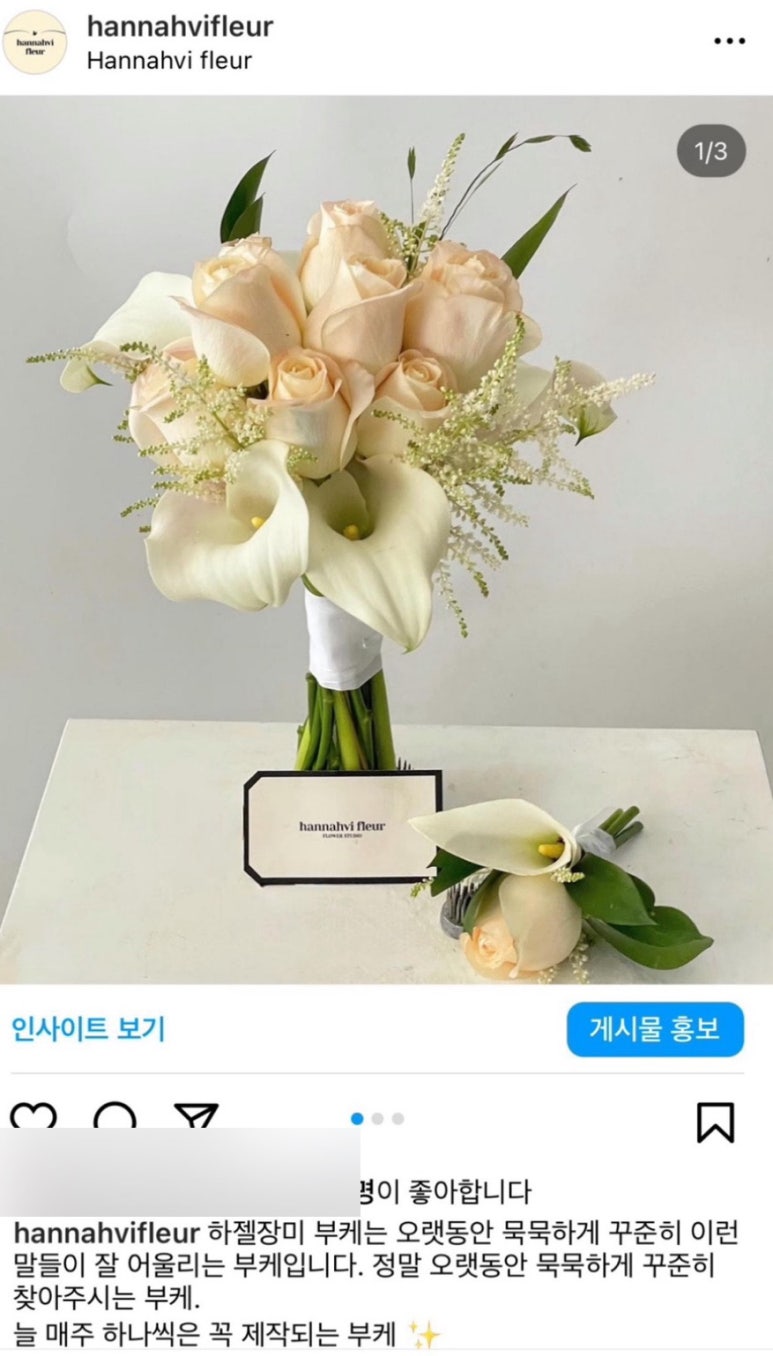 한나비플뢰르 이미지