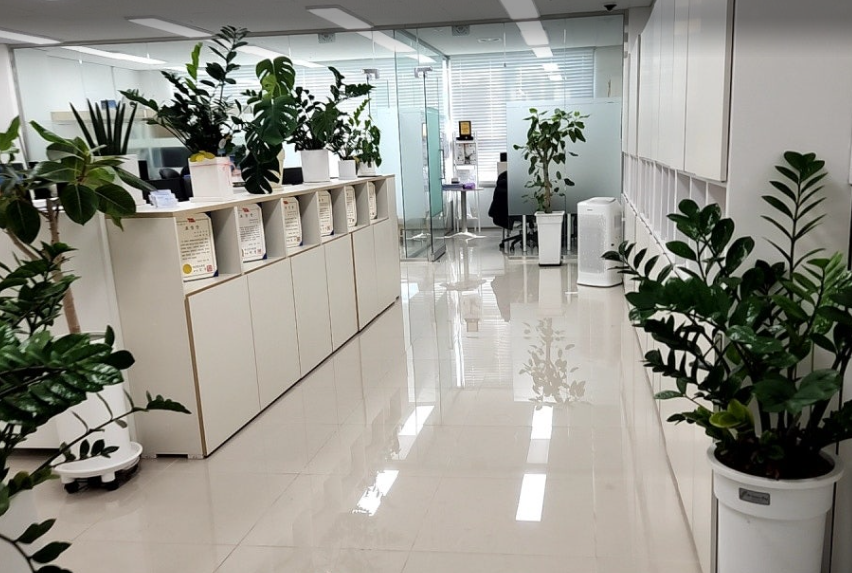 새봄세무회계 이미지