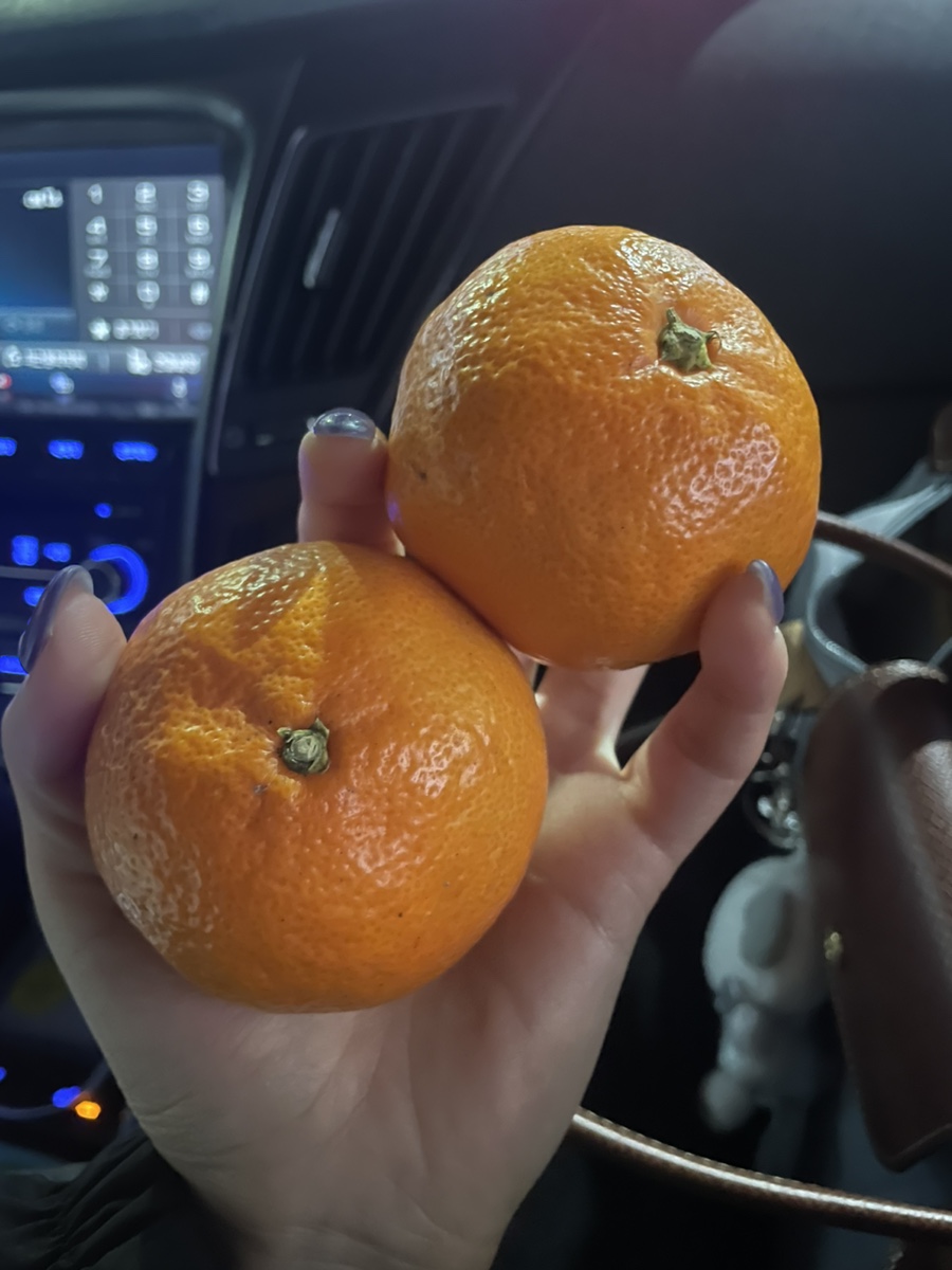 탕화쿵푸마라탕용봉점 이미지