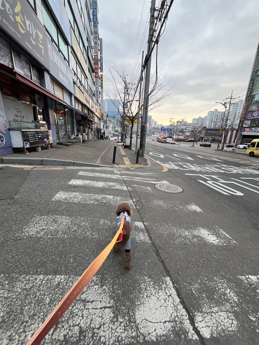종일세차장 이미지