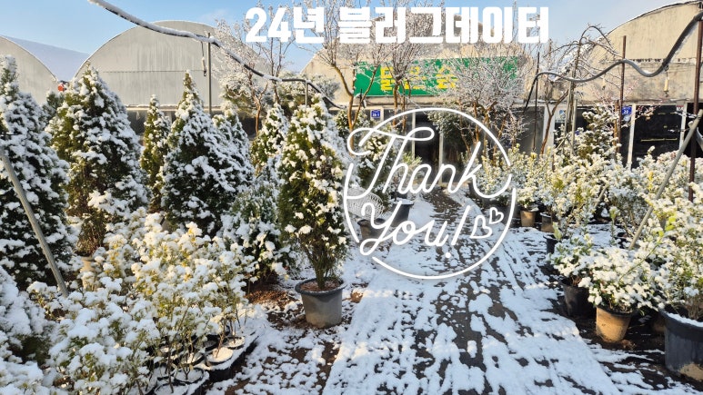 맑은숲 이미지