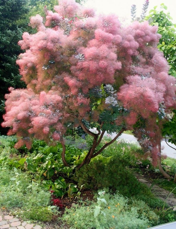 복광조경 이미지