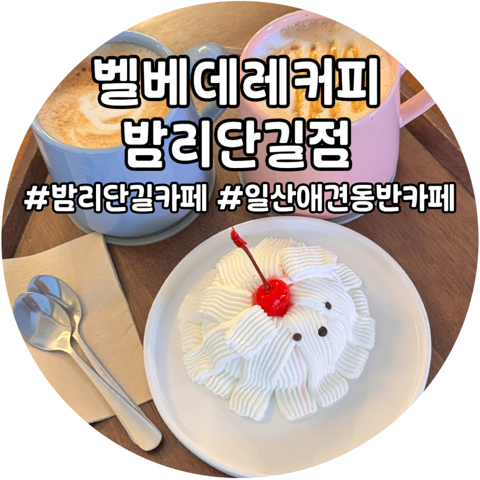벨베데레커피 이미지