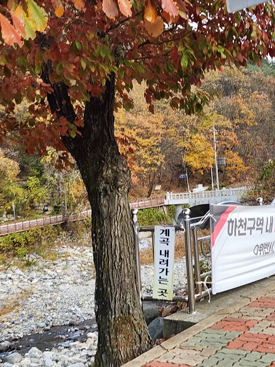 고향마당 이미지