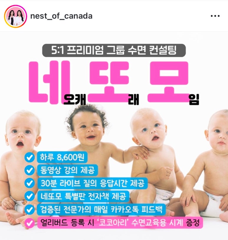 네오네스트 이미지