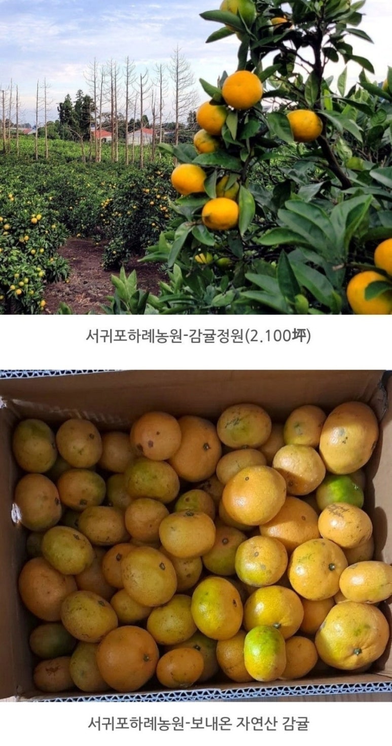 민속당 이미지