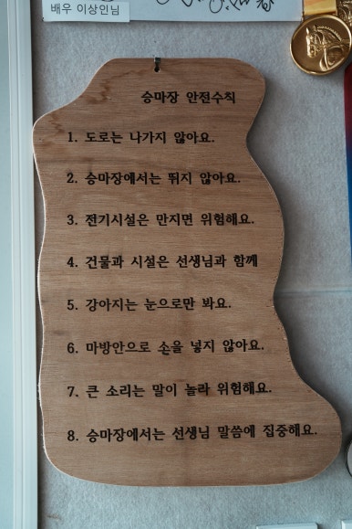 말보르승마장 이미지