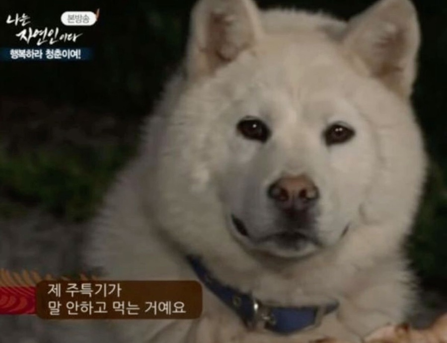 밈밈 이미지