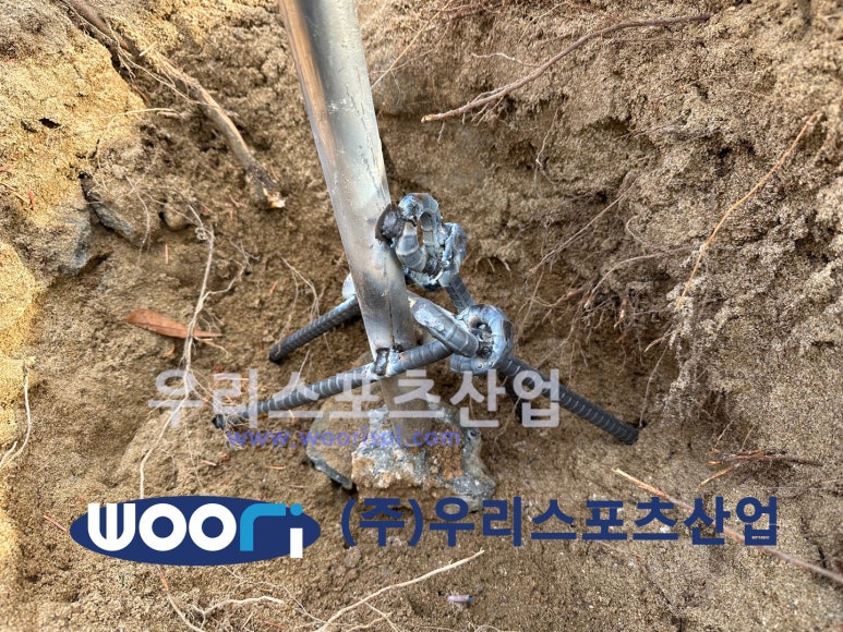 어룡초등학교 이미지
