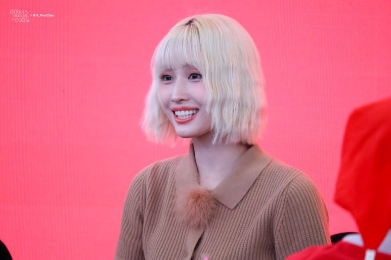 BDM 이미지