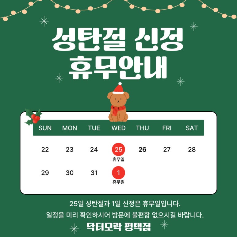 닥터모락 평택점 이미지