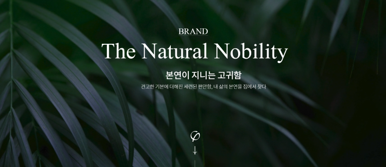 누리디앤씨 이미지