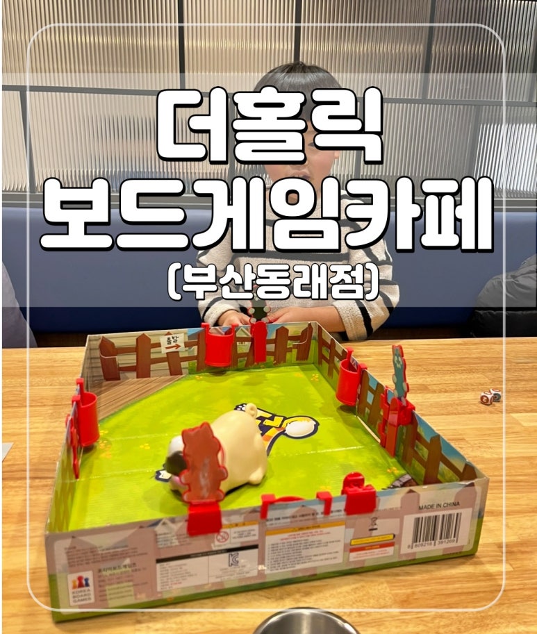 서프라이즈보드카페 이미지