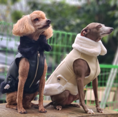 개나리상회 이미지