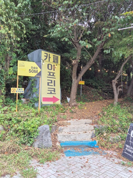 아프리코 이미지