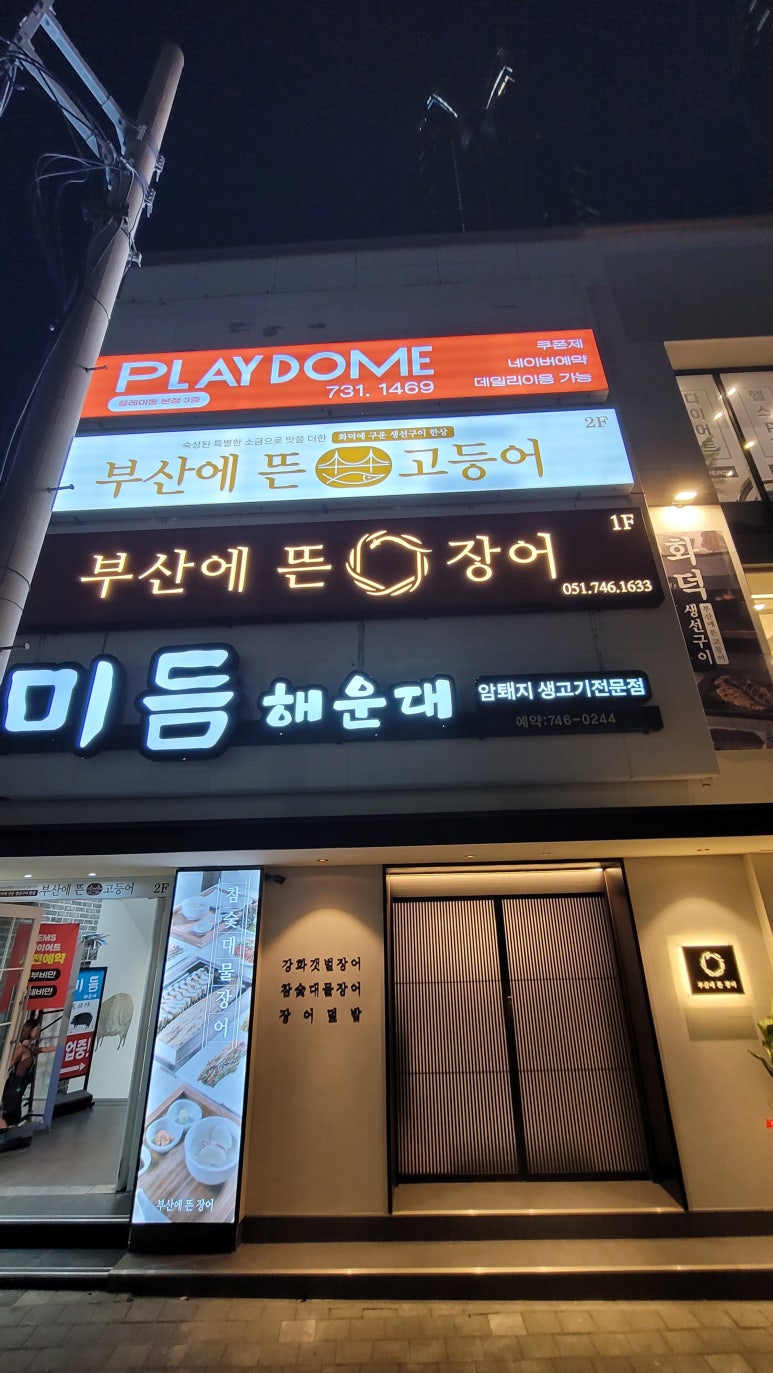 부산에 뜬 장어 이미지