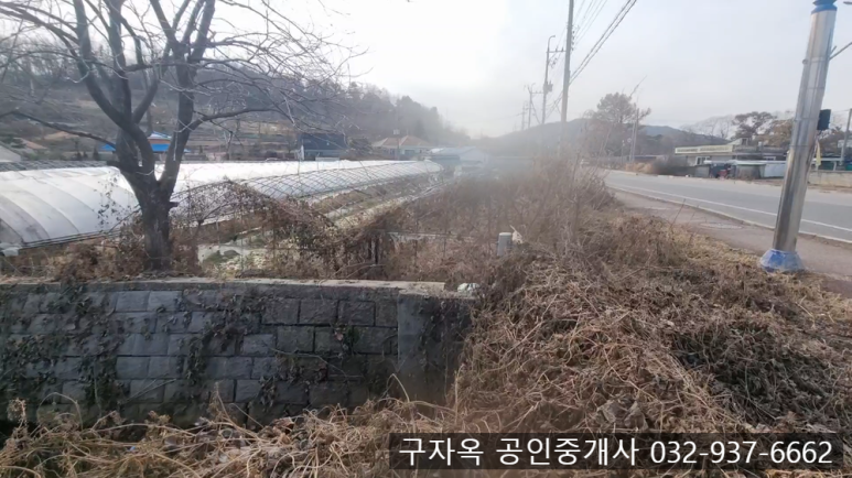 강화중학교 이미지