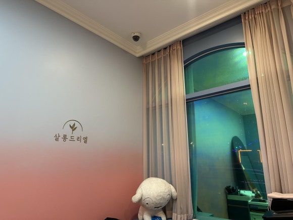 살롱드리엘 이미지