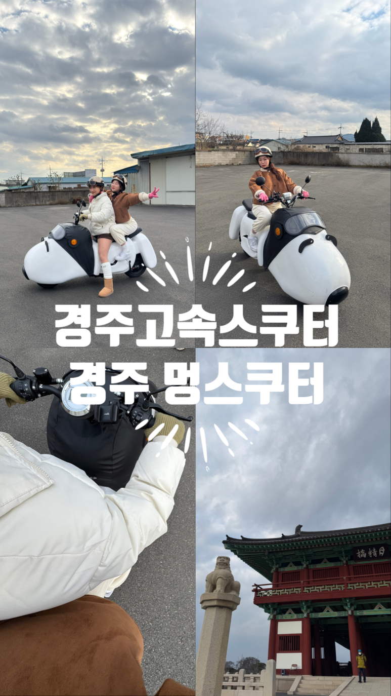 고속자전거，스쿠터대여점 이미지