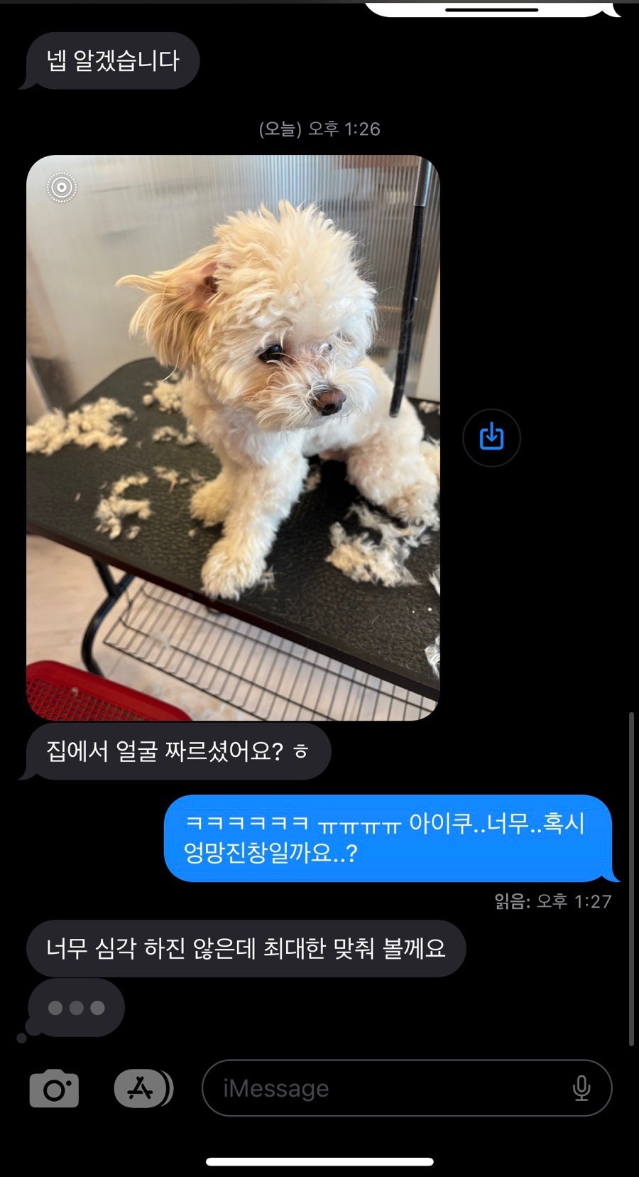 에바가위컷 전문점 이미지