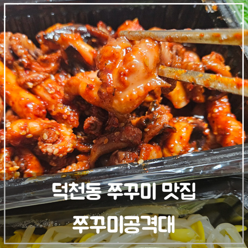 쭈꾸미공격대 이미지