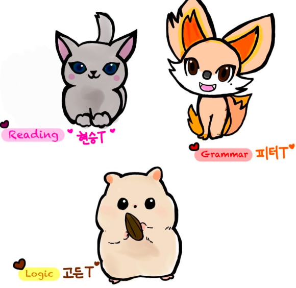피앤에이 이미지