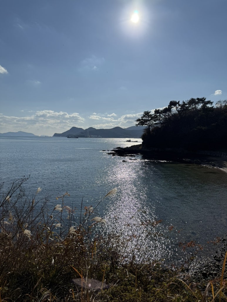 동피랑꿈카페 이미지