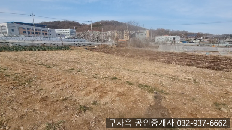 강화중학교 이미지