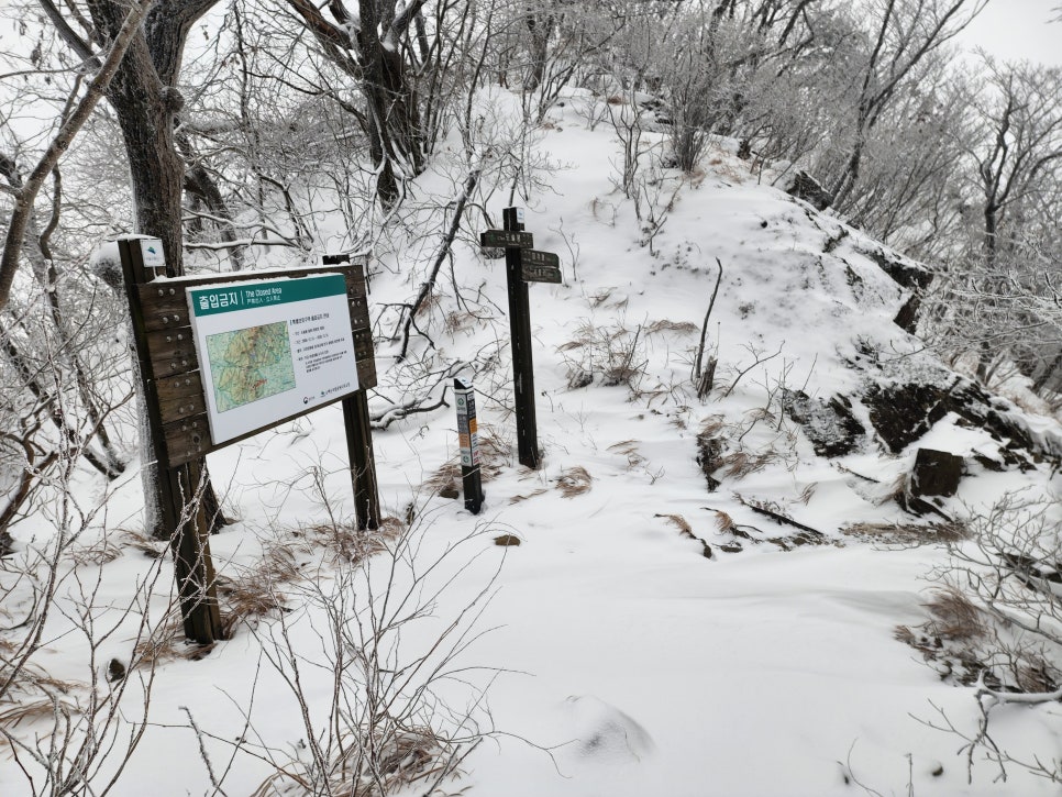 삼거리식당 이미지