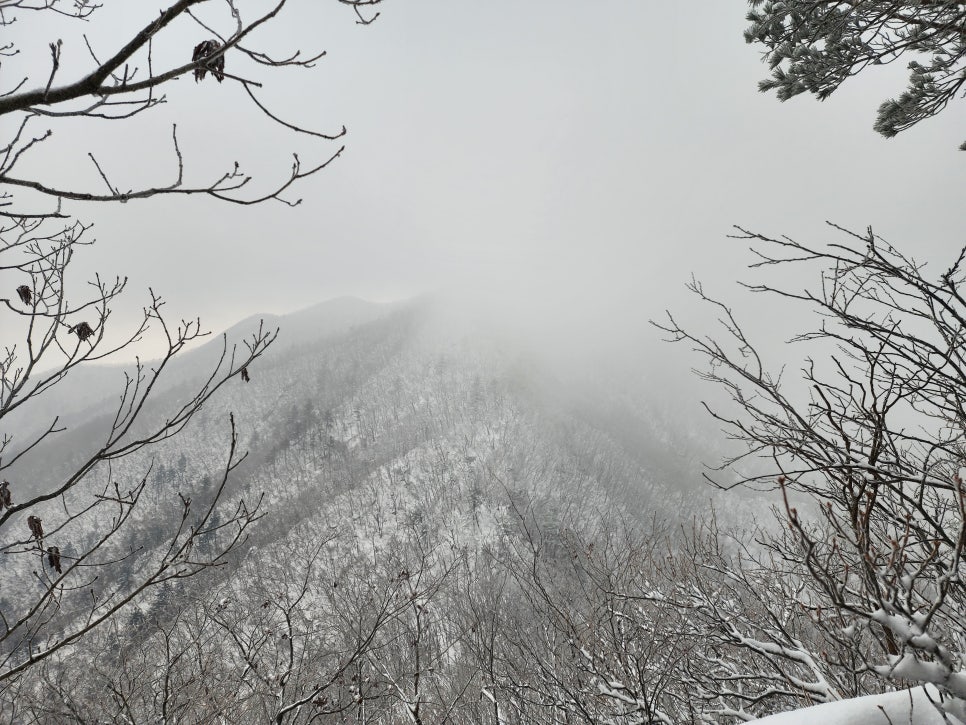 삼거리식당 이미지