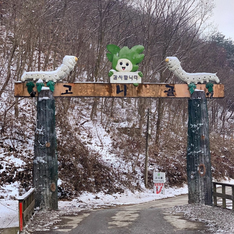 고니골농장 이미지