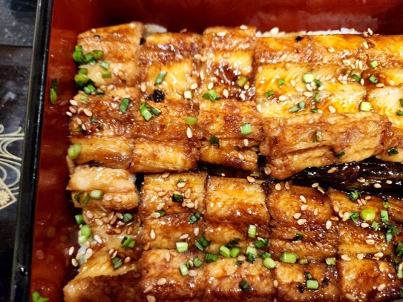 굴맛&장어맛 이미지