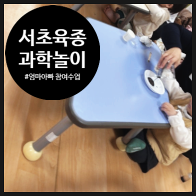 오해피데이지 이미지