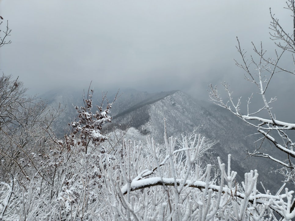 삼거리식당 이미지