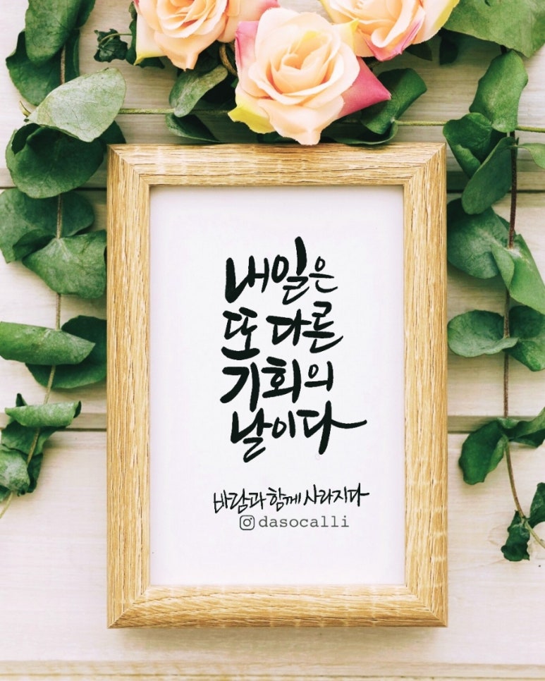 알바트로스 커피 로스터스 이미지