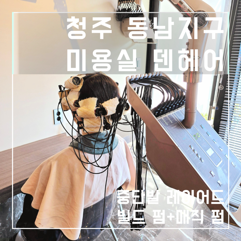 덴헤어 이미지