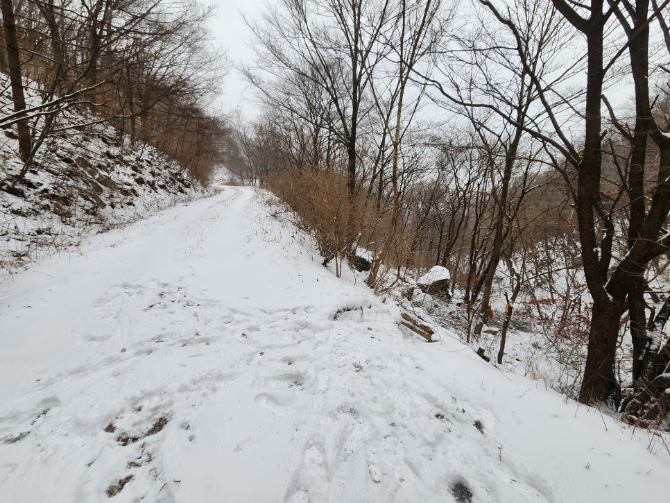 삼거리식당 이미지