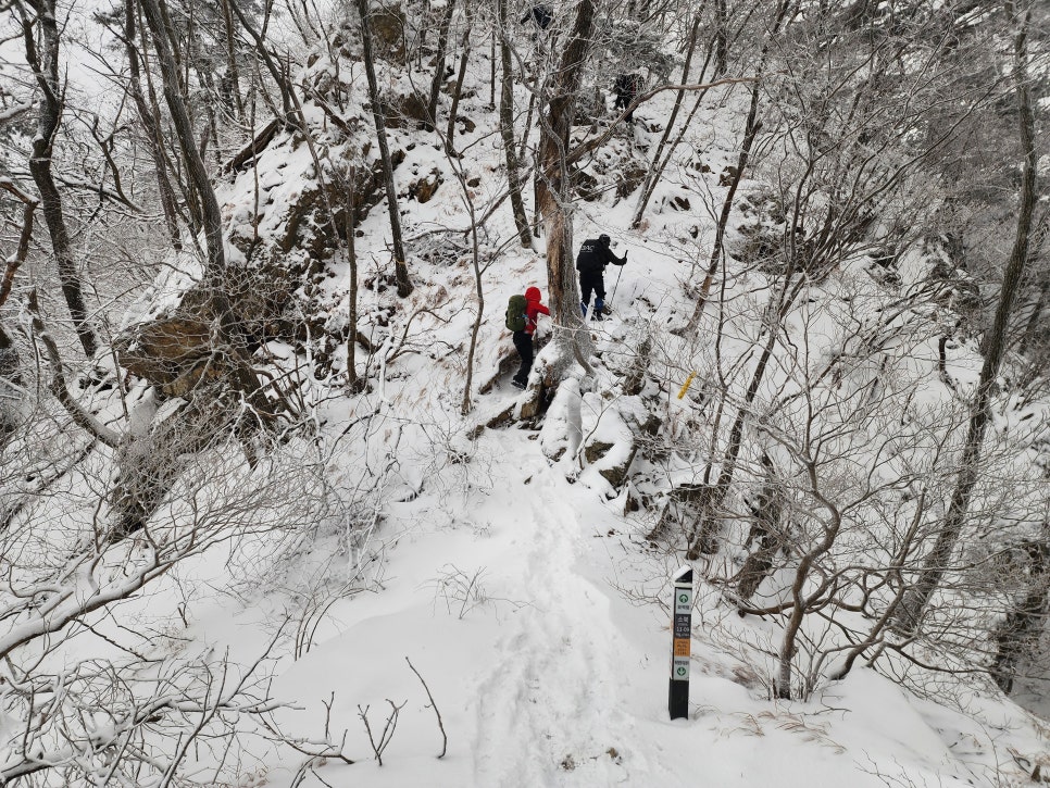 삼거리식당 이미지