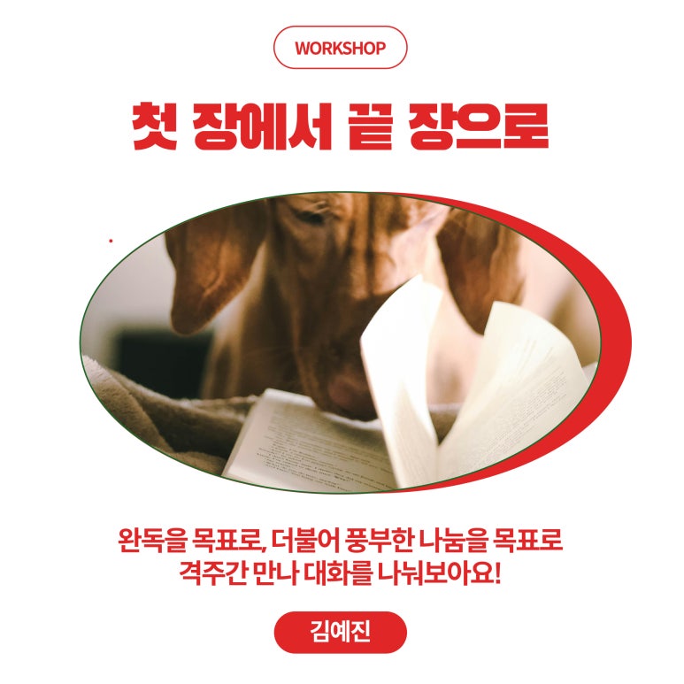 끝 장 이미지