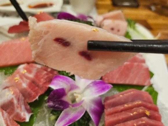 홍참치 이미지